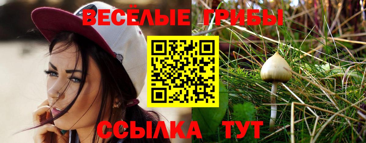 Реутов  Псилоцибиновые грибы MAGIC MUSHROOMS  Вход с VPN  Галлюциногенные грибы Psilocybine cubensis 