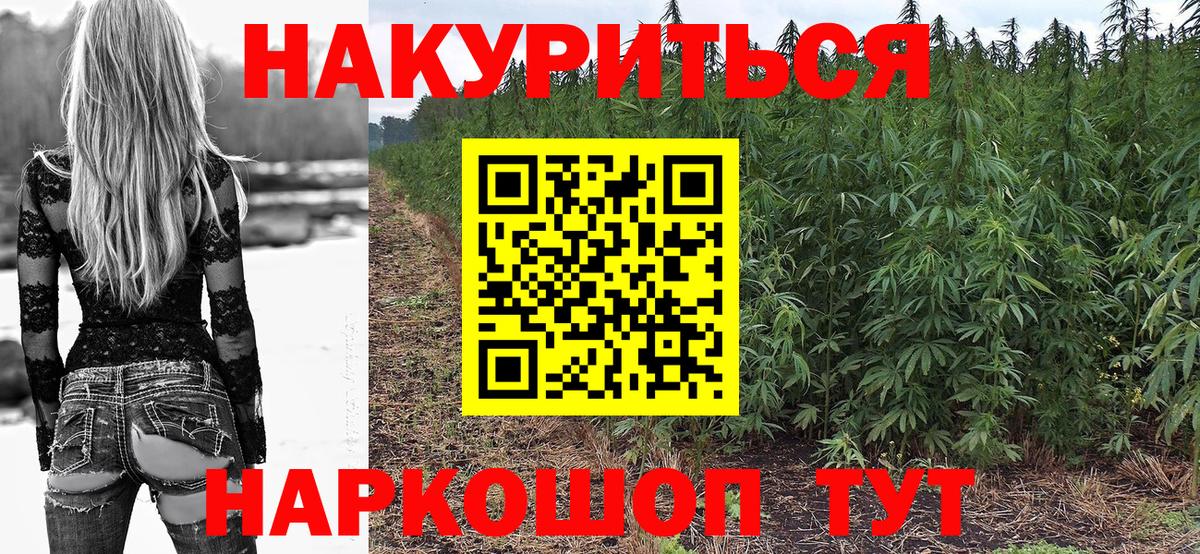 Конопля сатива  Каннабис MAZAR  Вход с VPN  Каннабис ГИДРОПОН  Бошки Шишки план  Реутов 
